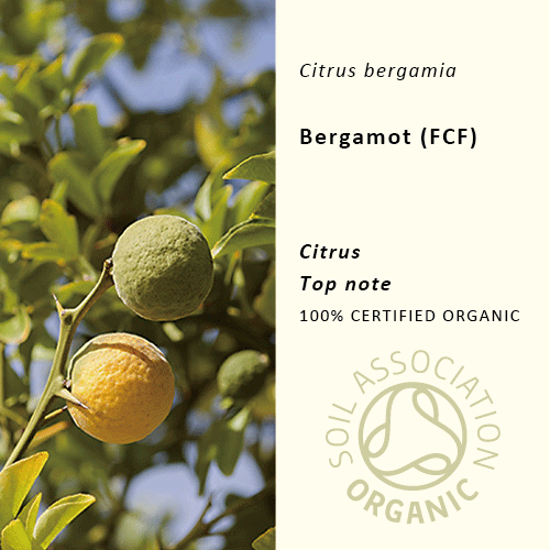 30%off | ベルガモット(FCF) | Citrus bergamia(使用期限：2026年2月)