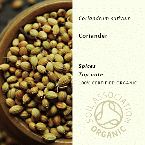 30%off | コリアンダー | Coriandrum sativum(使用期限:2026年2月)