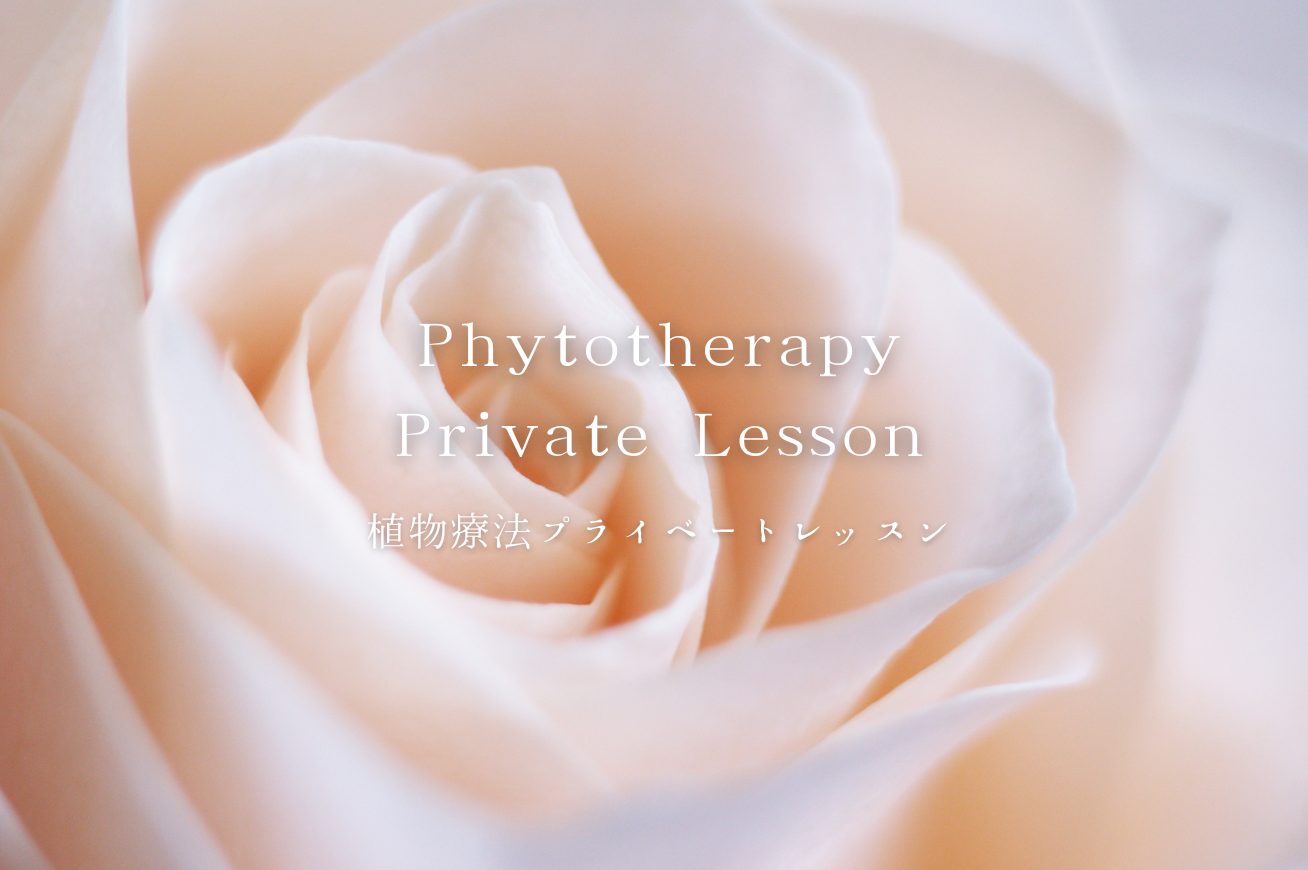 Lesson  | 植物療法プライベートレッスン ～ Phytotherapy Private Lesson ～