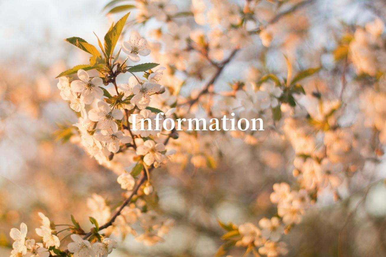 information 2026年４月の営業時間